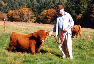 http://www.minihighlandcattle.com/wp-content/uploads/2012/08/Button-33in-at-20-mo-web.jpg